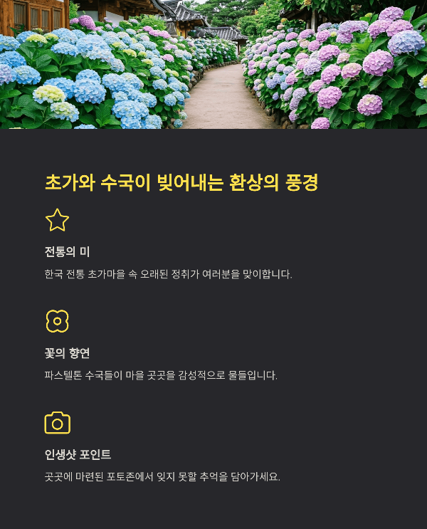 초가와 수국이 빚어내는 환상의 풍경