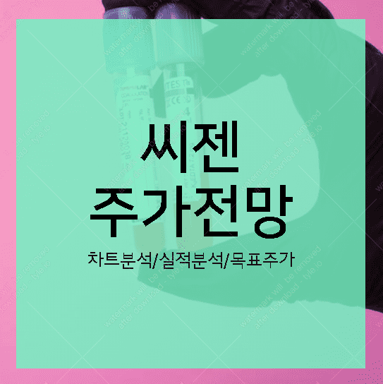 씨젠 주가전망