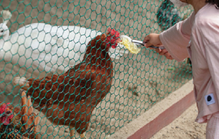 개화예술공원