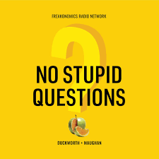 No stupid Question