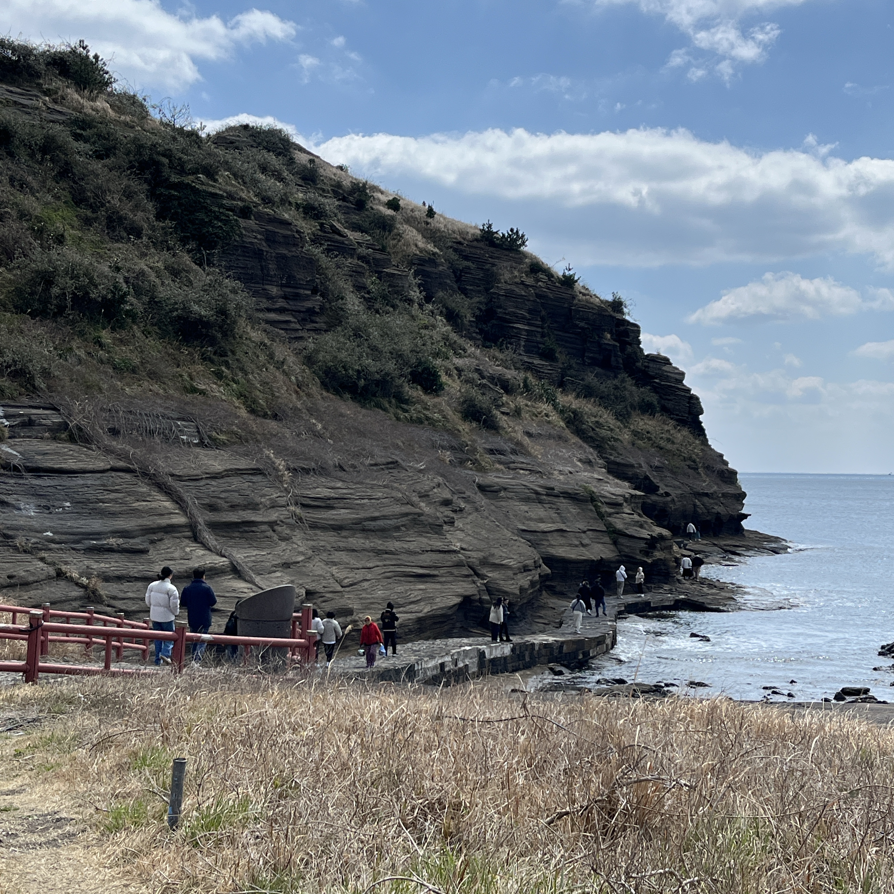 해안 절벽 산책로