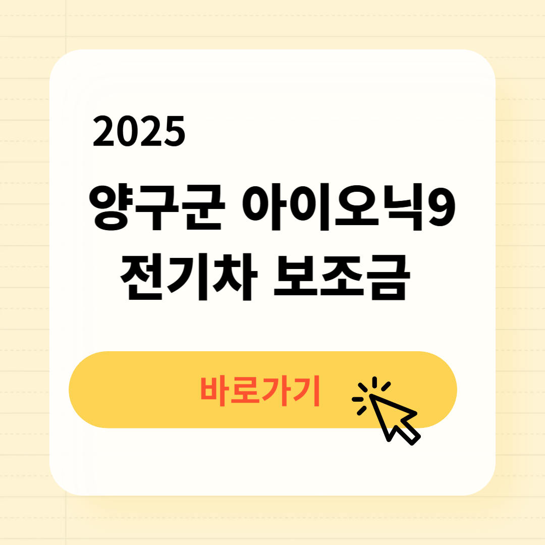 양구군 아이오닉9 전기차 보조금