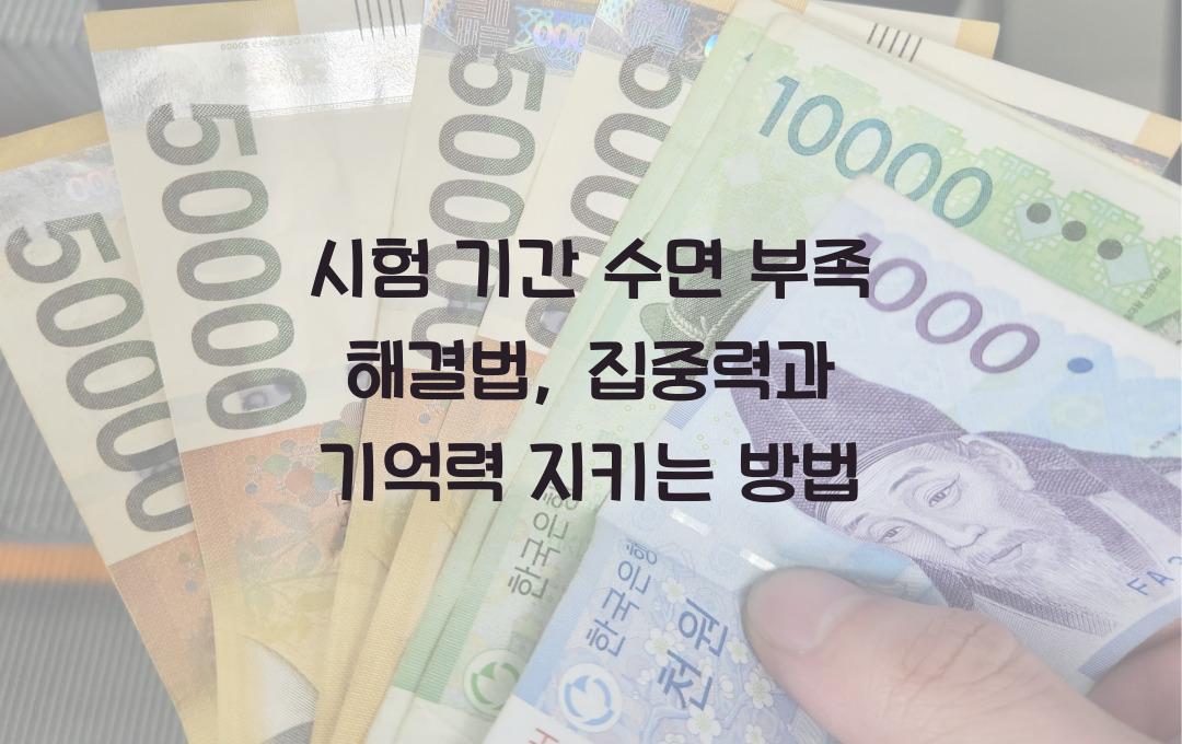 시험 기간 수면 부족 해결법 (집중력 & 기억력 유지하는 방법)