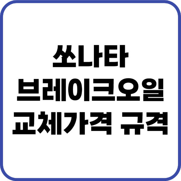 쏘나타 브레이크오일