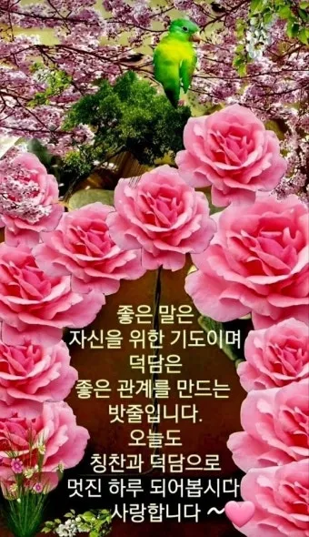 아침 인사말 이미지 모음 밝고 따뜻한 하루 인사 문구 정리_9