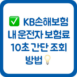 KB손해보험 내 운전자 보험료 10초 간단 조회 방법
