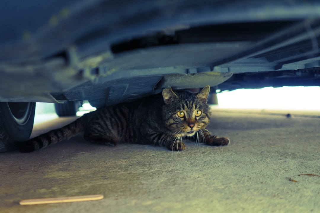 Inspection