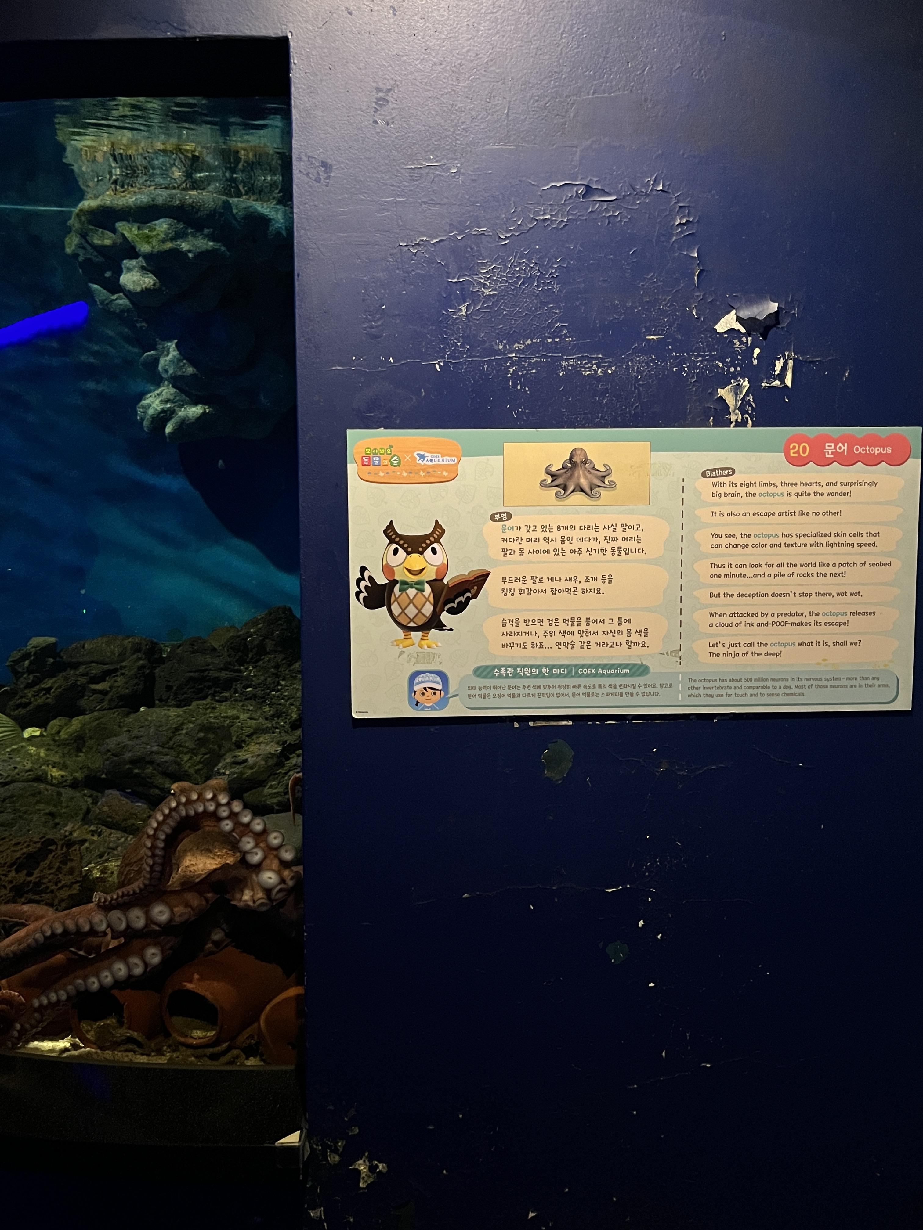 코엑스 아쿠아리움 동물의숲