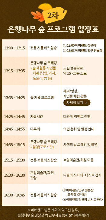 비밀의 은행나무 숲