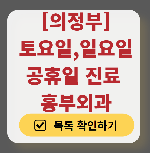 의정부시 주말 토요일 일요일 흉부외과 진료 병원 목록 ❘ 공휴일 진료 영업 병원 리스트 찾기