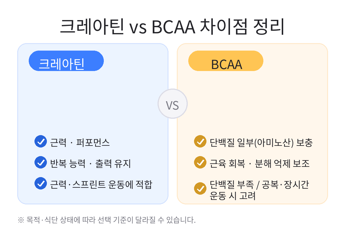 크레아틴 vs BCAA 차이점 정리 인포그래픽으로 크레아틴은 근력&middot;퍼포먼스, BCAA는 단백질 보충과 회복 보조 관점에서 비교