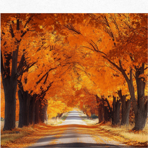 입추에 먹으면 좋은 제철 음식 사진