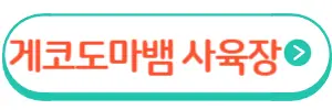 게코도마뱀 사육장