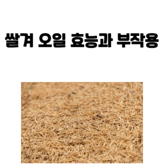 쌀겨 오일 효능과 부작용