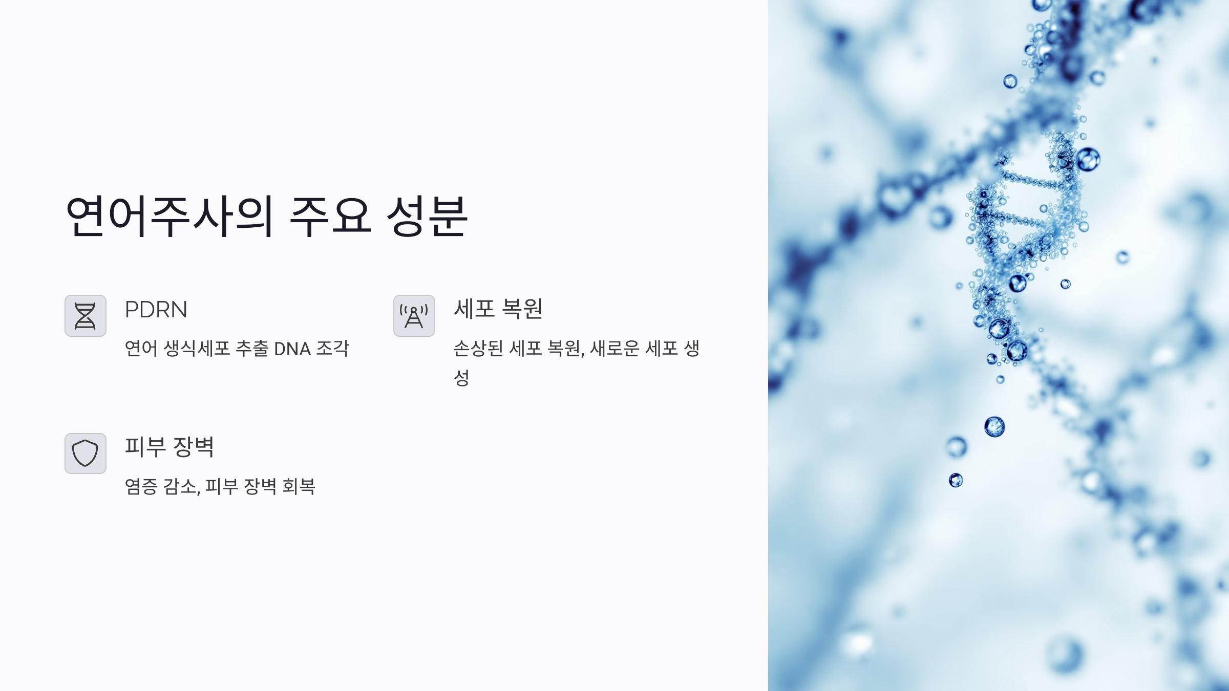 연어주사의 주요 성분과 효능