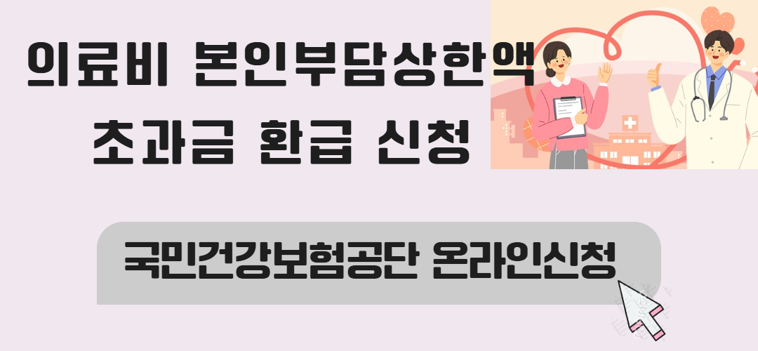 의료비 본인부담상한액 초과금 환급 신청 방법 정리! 관련사진
