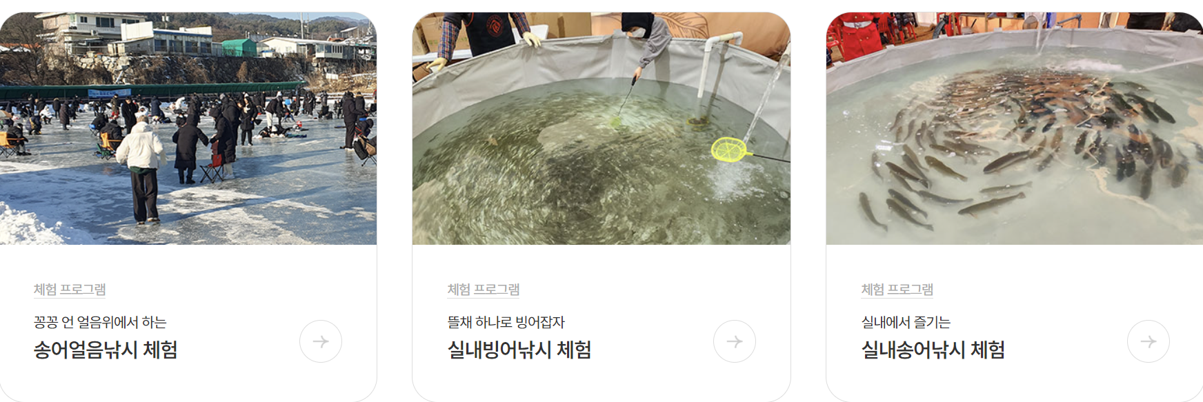 체험프로그램 소개