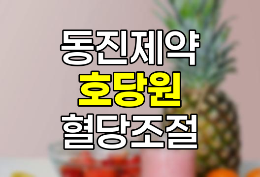 동진제약 호당원 가격, 효능, 식후 혈당 조절 및 바나나잎 추출물 상세 정보