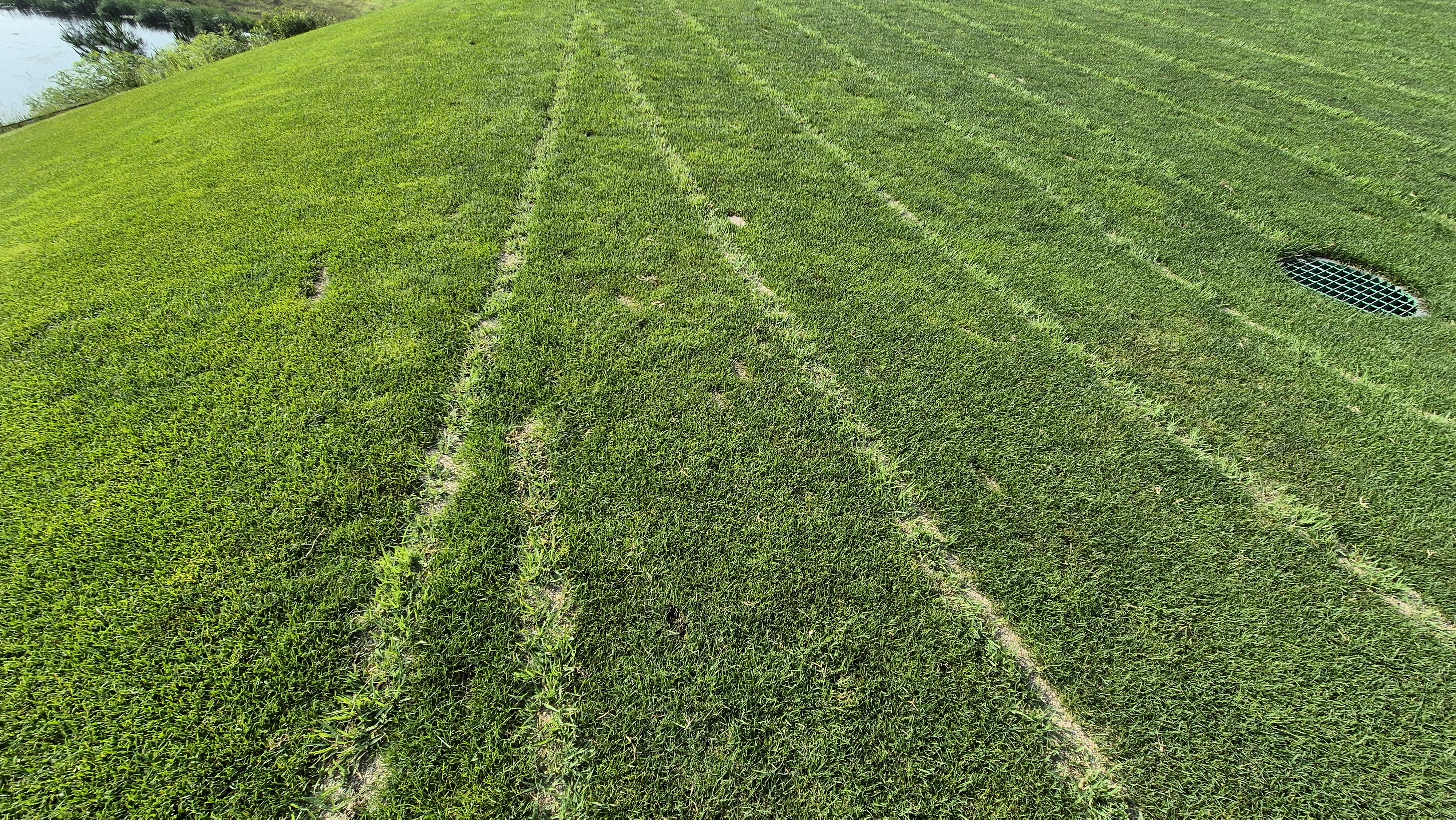 샤인데일cc 라운드 후기