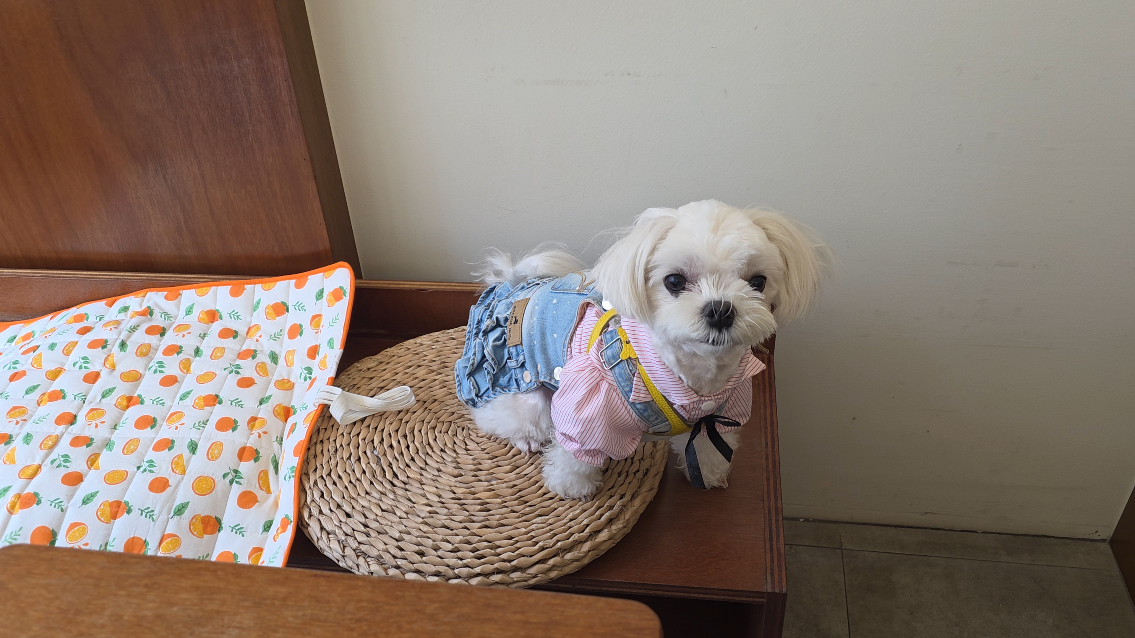 카페내 라떼 모습