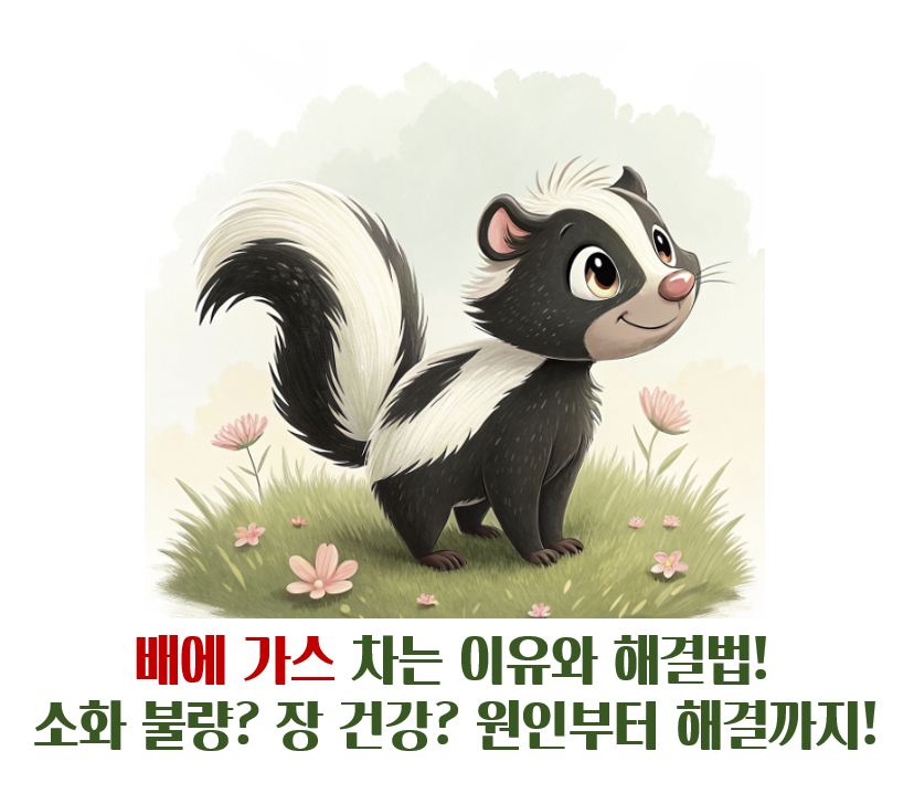 배에 가스 차는 이유와 해결법!