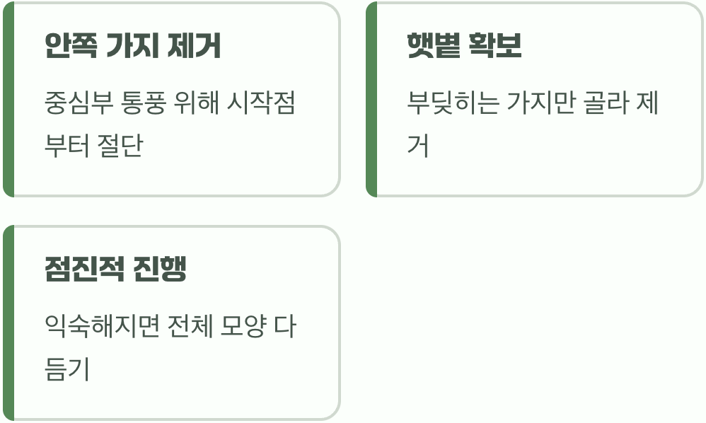 초보자를 위한 ‘솎아내기’부터