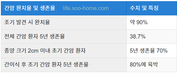 간암 완치율 및 생존율