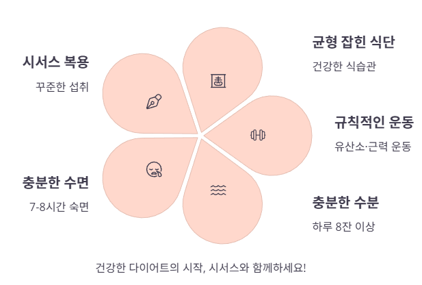 시서스 다이어트 최종 점검!