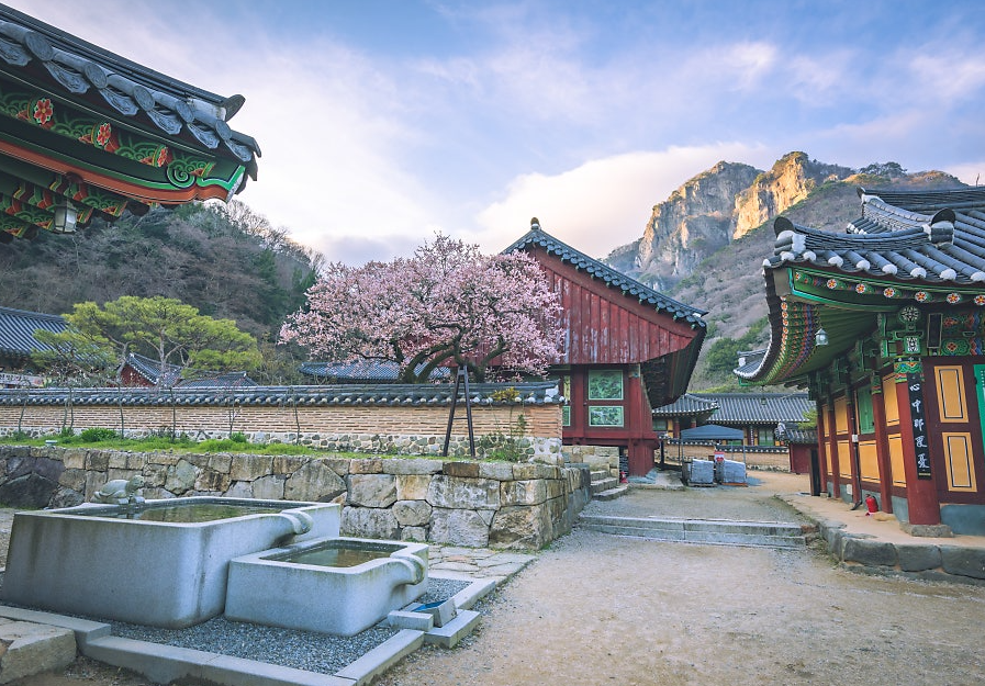 장성 백양사1