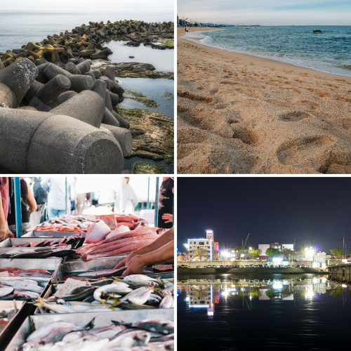 5월 국내 여행지 추천 강릉