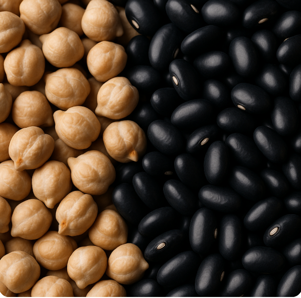 병아리콩 검정콩 사진