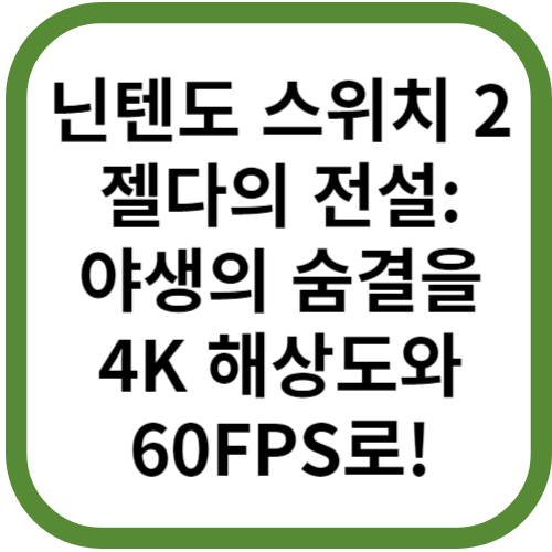 닌텐도 스위치 2 야생의 숨결을 4K, 60FPS로! PS5와 Xbox 시리즈 X보다 더 나은 레이 트레이싱 출시일정 차세대 콘솔