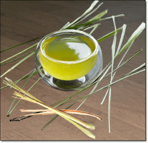 레몬그라스 차 효능