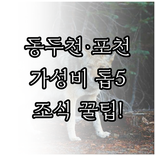 동두천 포천 인기 숙소 5곳 비교 조..