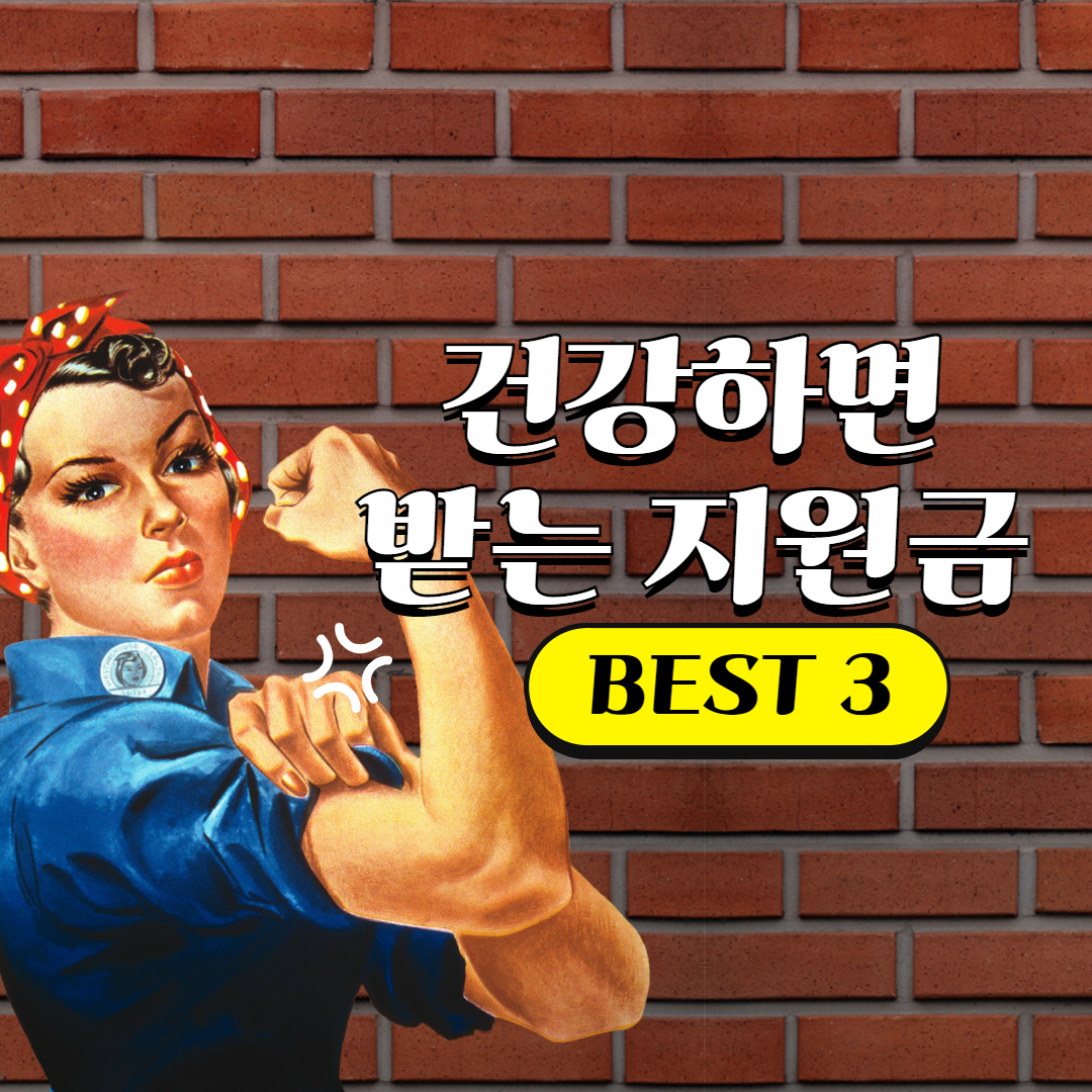 건강지원금