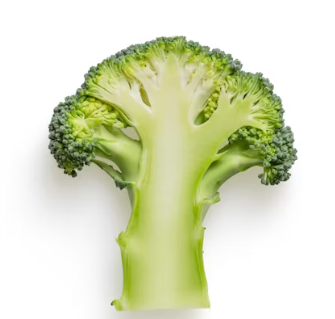 고지혈증에 좋은 음식 영양제 식단