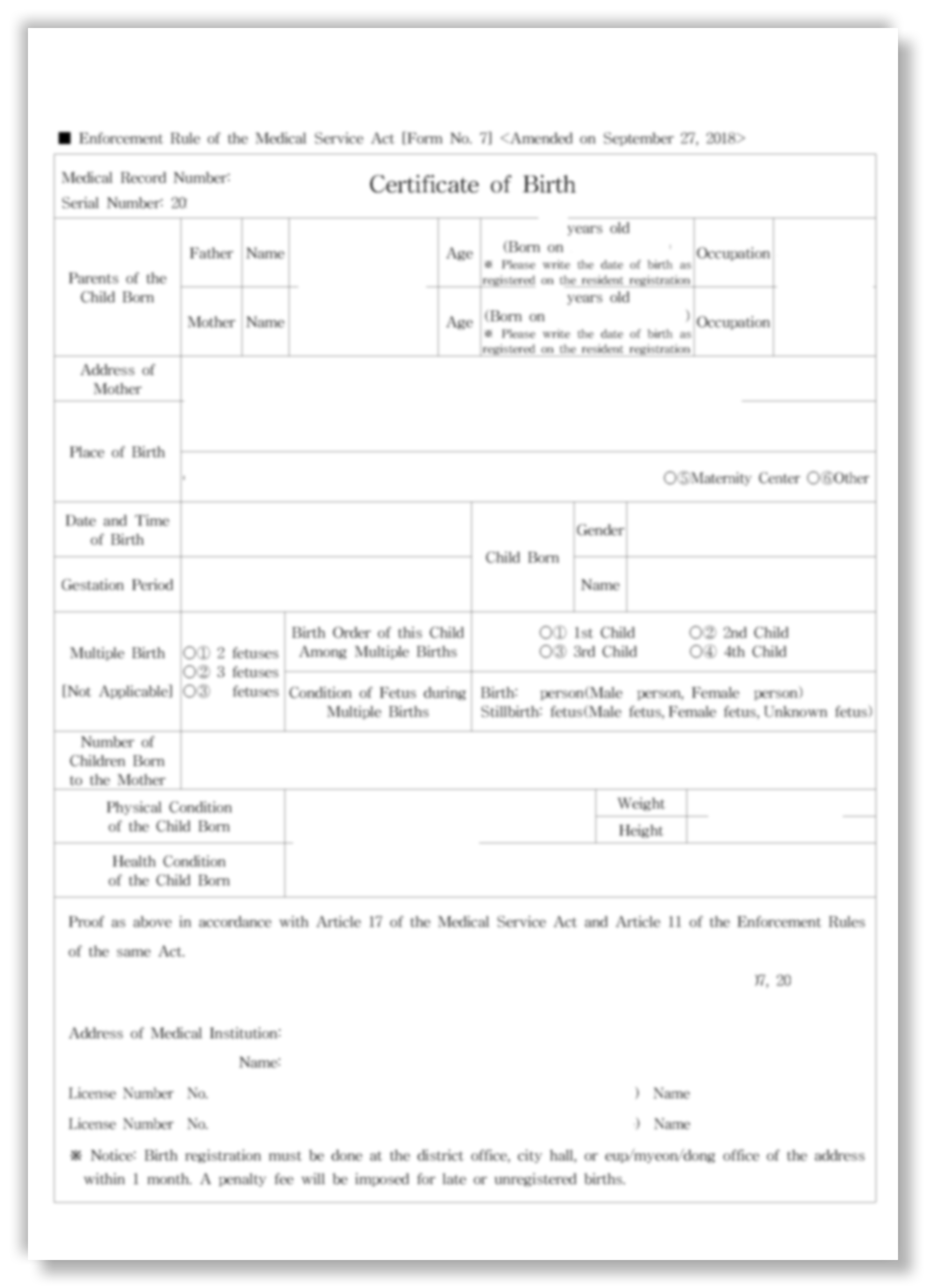 영문출생증명서