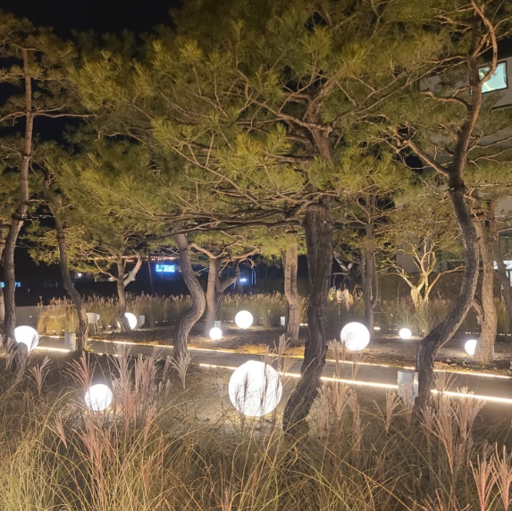 소나무