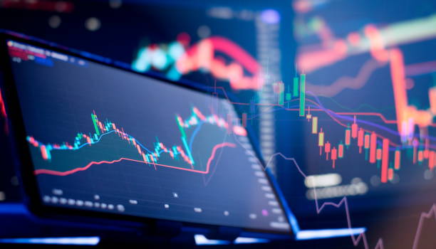 주식 포트폴리오란 무엇인가?