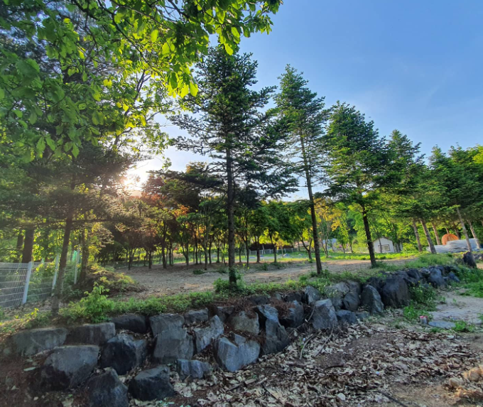 경기-포천-위드독스-in-포천-캠핑장-사진-입니다.