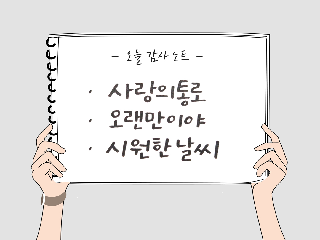 오늘 감사한 순간들, 일상 속 숨겨진 보물찾기