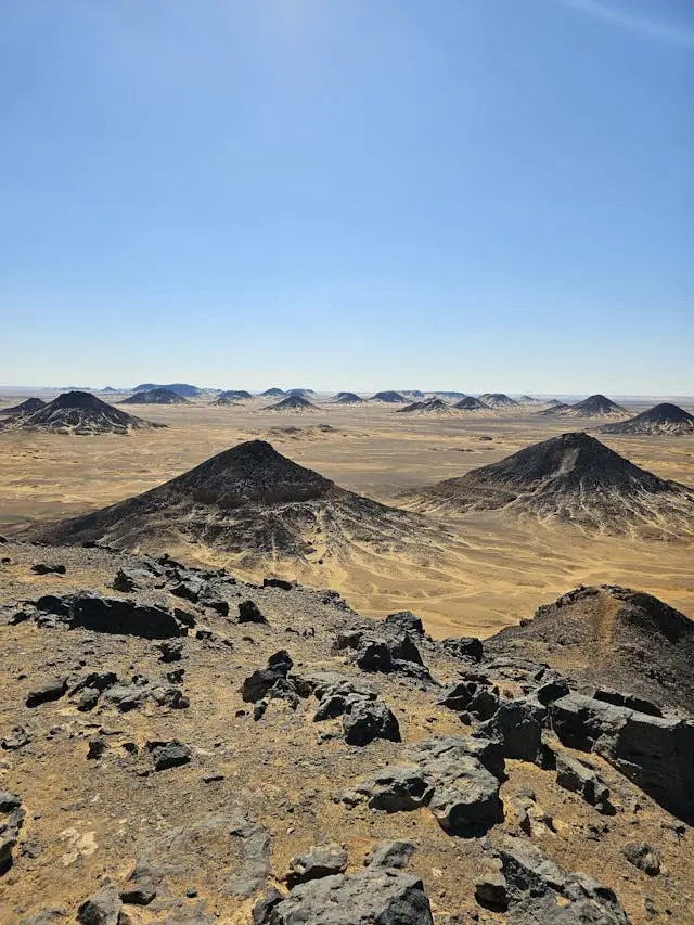 생매장당하는꿈