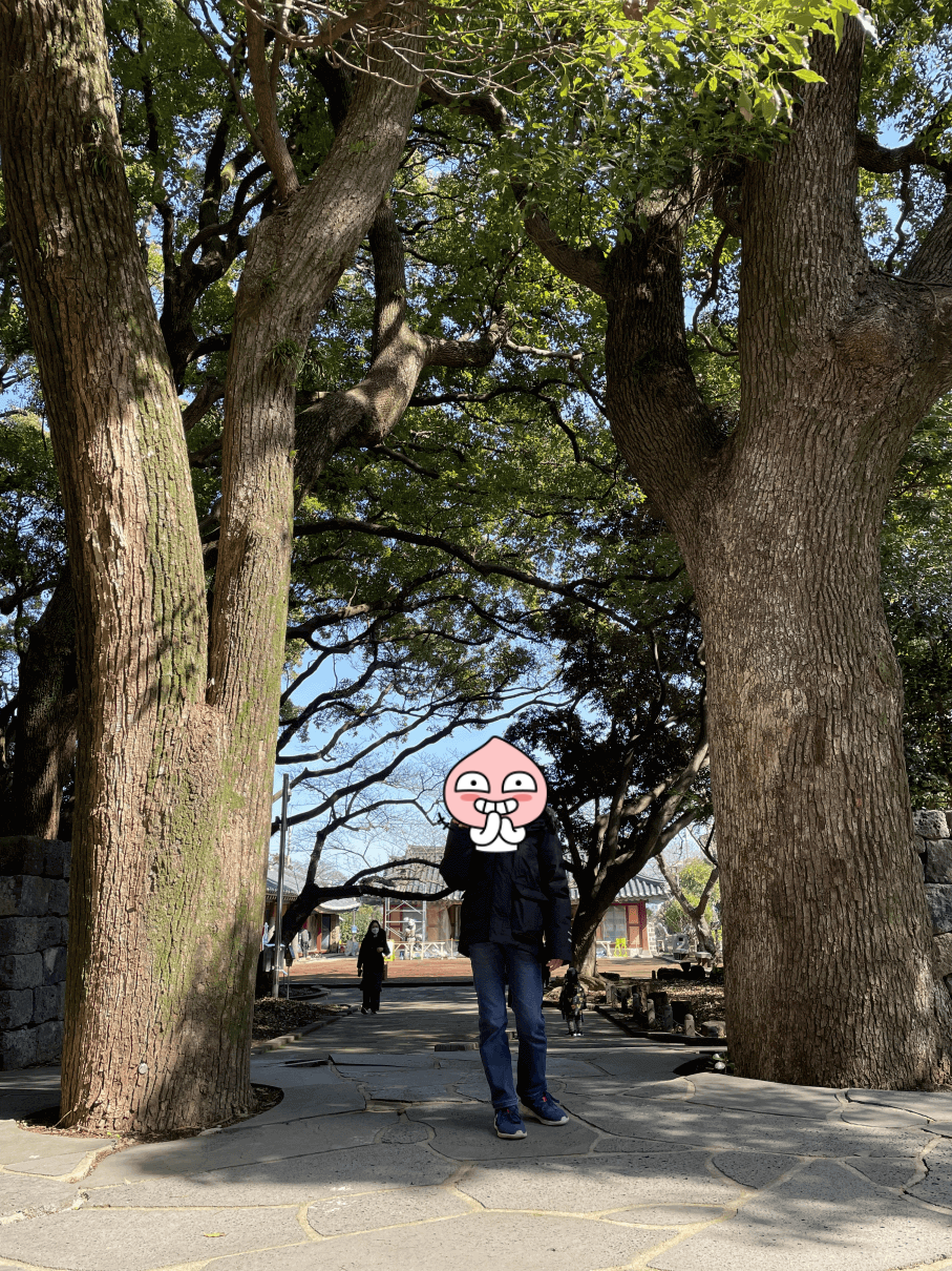 제주여행 추천 - 삼성혈