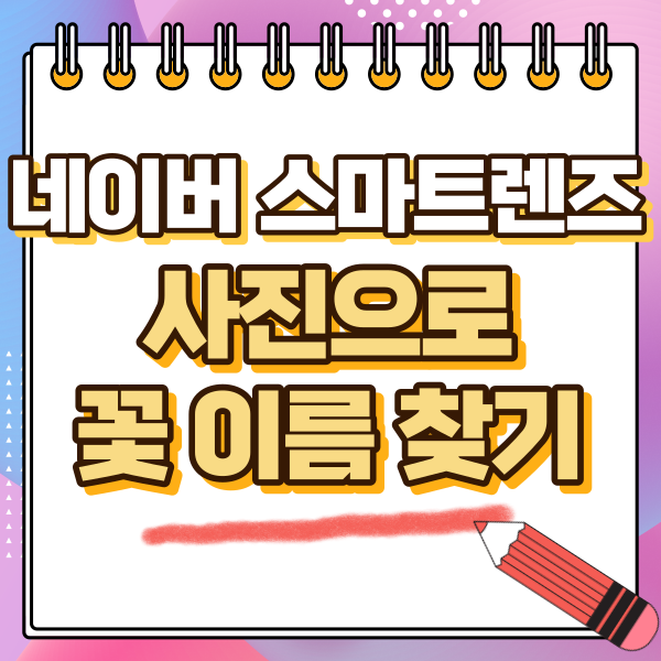 섬네일