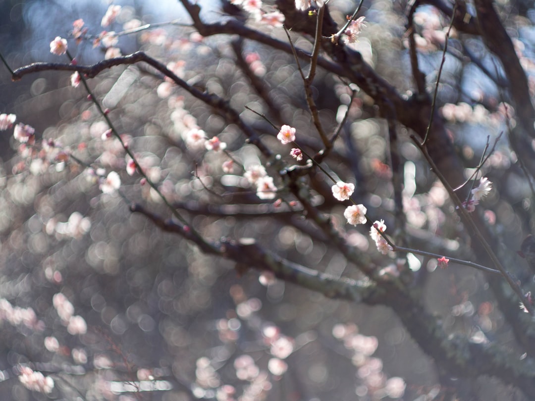 February