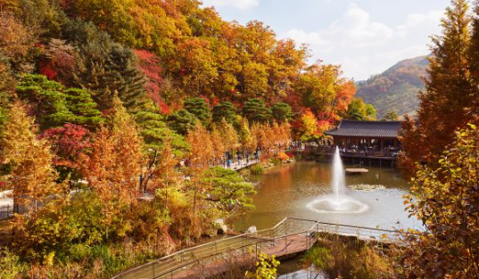화담숲 예약 3분만에 성공하는 꿀팁