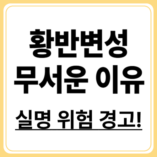 방치하면 실명?! 황반변성이 무서운 이유