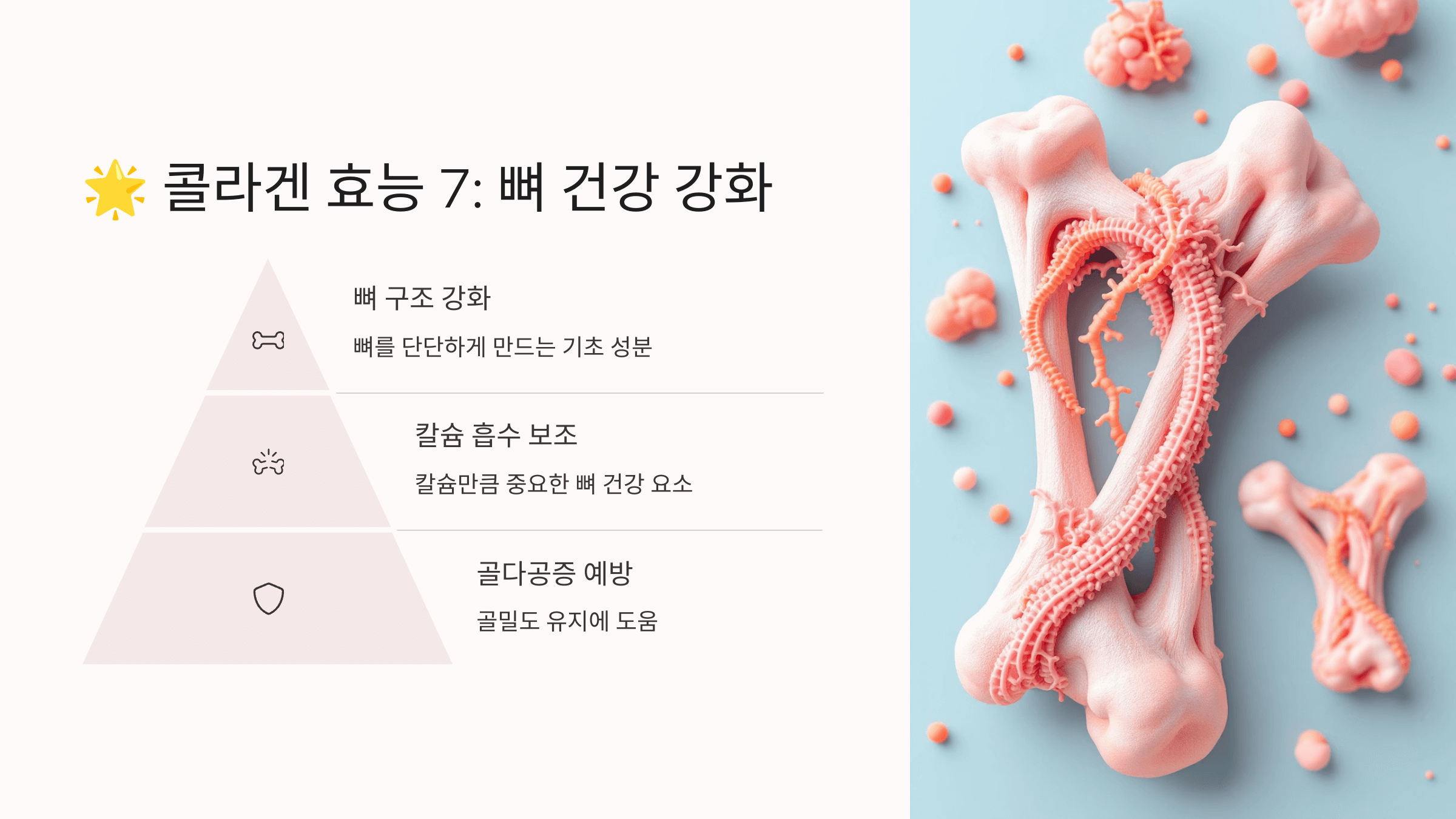 콜라겐과 관련된 사진입니다.