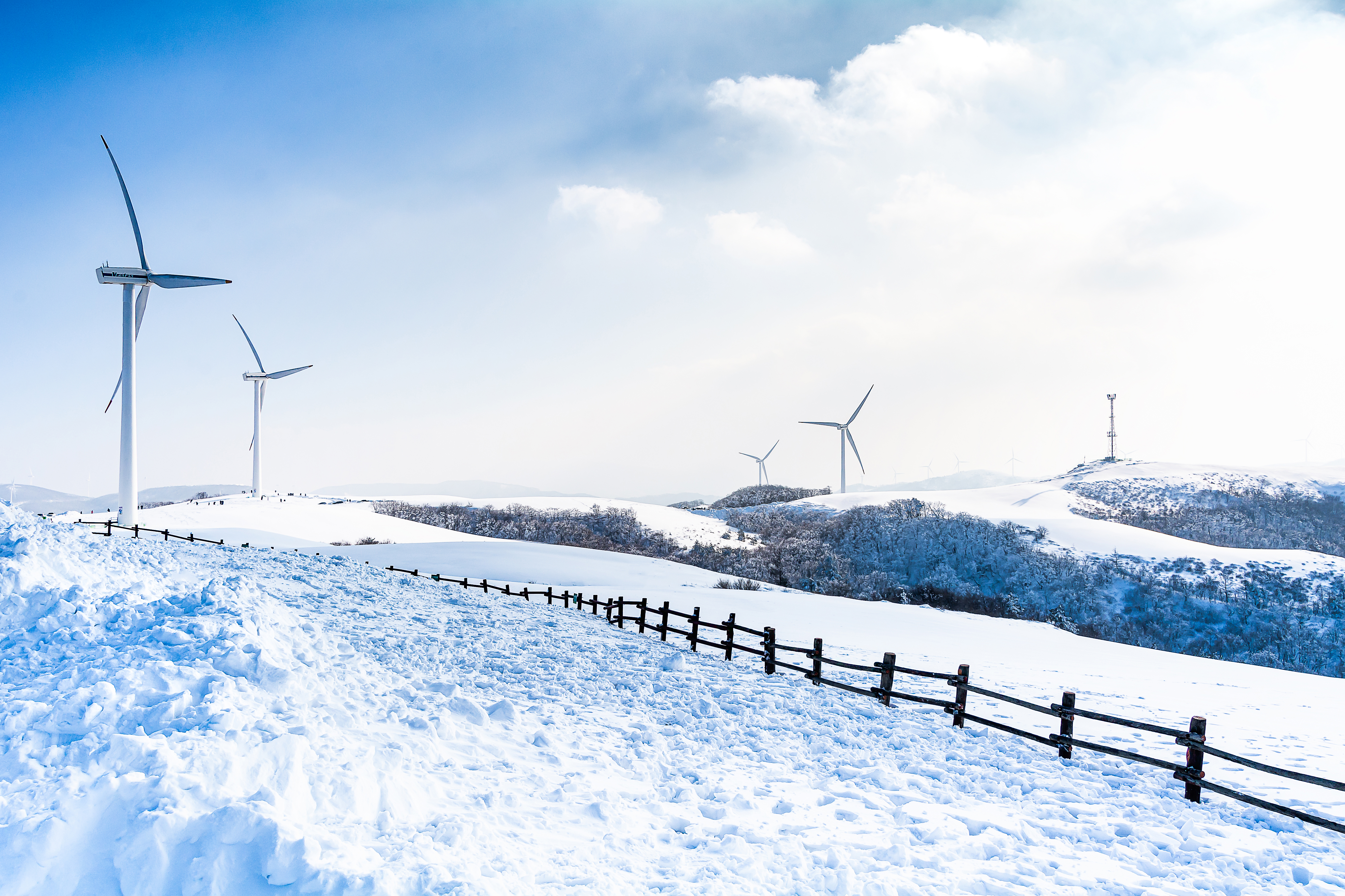 강원도 평창 대관령