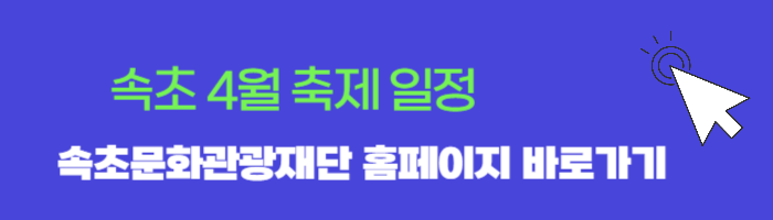 속초 축제일정